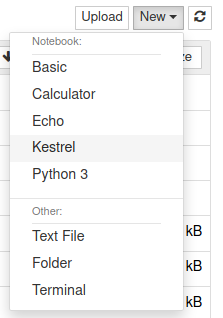 Start Jupyter notebook with Kestrel kernel.